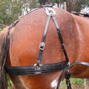 Horse harness with breast plate