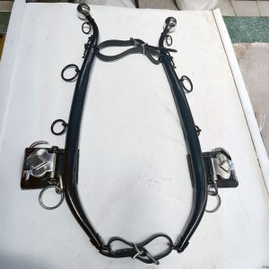 Hames fully mounted fit with Betta straps