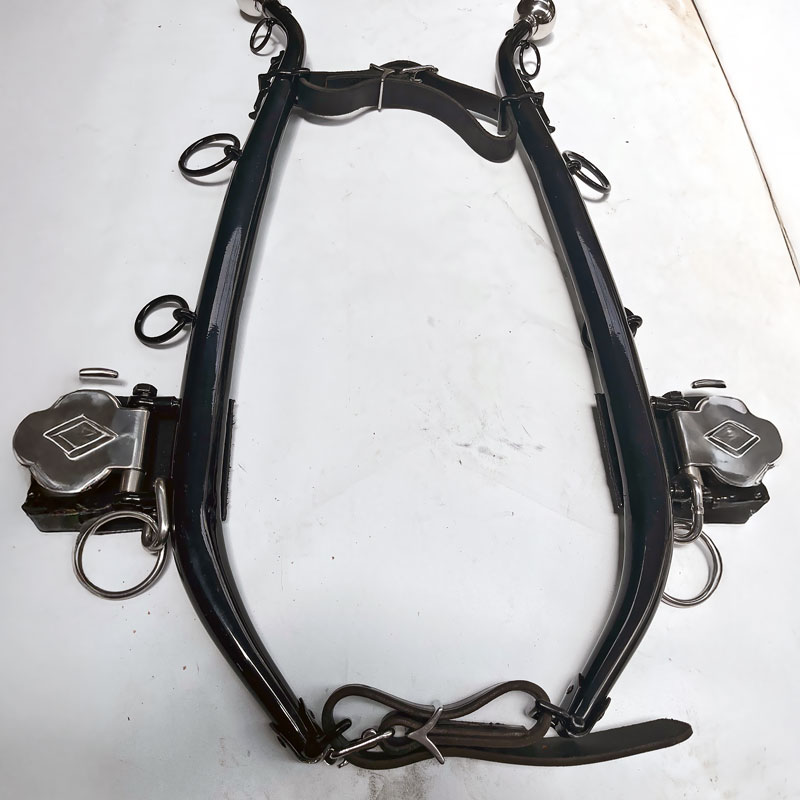 Hames fully mounted fit with leather straps